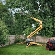 Seasonal Cleanup (Spring/Fall) in Unicoi, TN