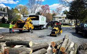 Best Tree Maintenance Programs  in Unicoi, TN